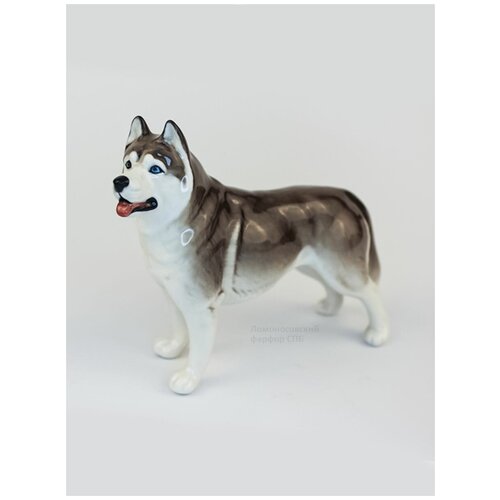Скульптура для интерьера, Фигурка. Сциталис. Фарфор. Хаски стоящий. Высота 12 см.