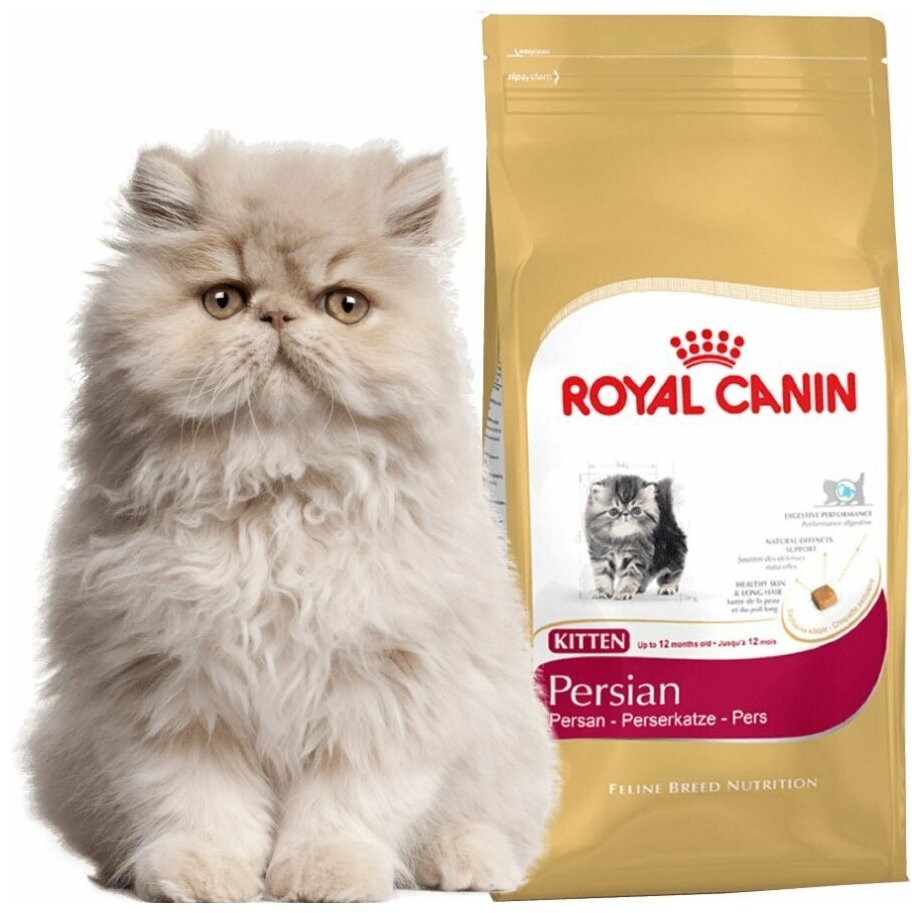 Сухой корм для котят Royal Canin KITTEN PERSIAN (киттен персиан) Birth & Growth Специальное питание для котят персидской породы в возрасте от 4 до 12 месяцев 2 кг - фотография № 8
