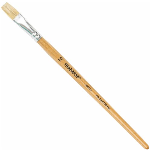 Кисть пифагор, щетина, плоская, № 10, деревянная лакированная ручка, пакет с подвесом, 200874