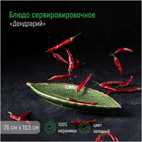 Блюдо керамическое сервировочное «Дендрарий», 26×10,5×1,5 см, цвет зелёный