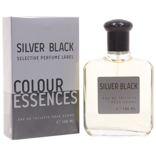Today Parfum туалетная вода Colour Essences Silver Black, 100 мл, 270 г туалетная вода мужская colour ssncs silvr black 100 мл today parfum 9148594