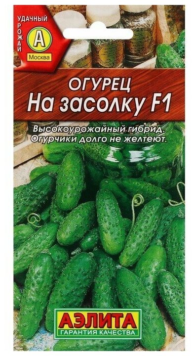 Семена Огурец 