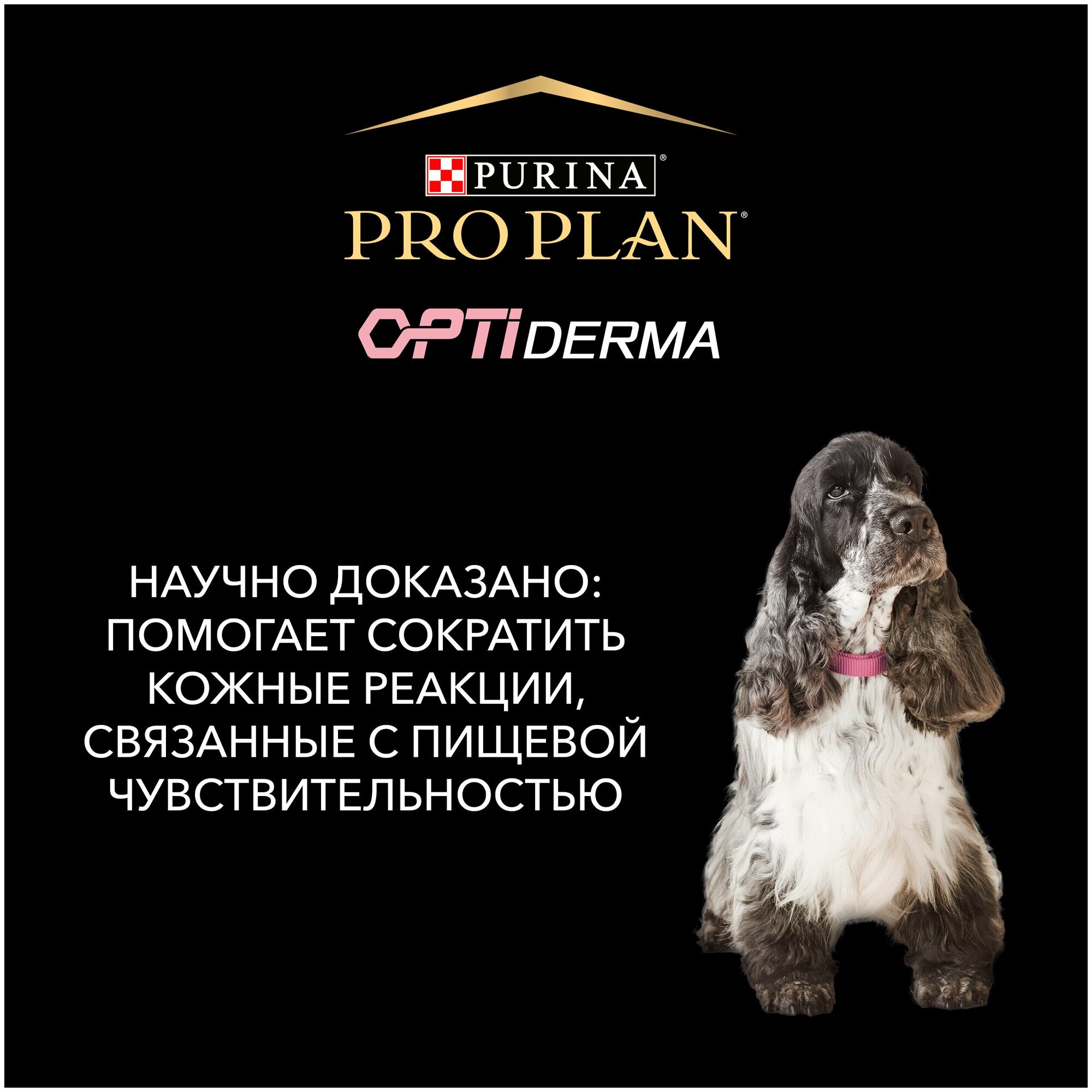 Pro Plan Medium & Large, Adult 7+ Sensitive Skin для пожилых собак средних и крупных пород Лосось, 14 кг. - фотография № 2
