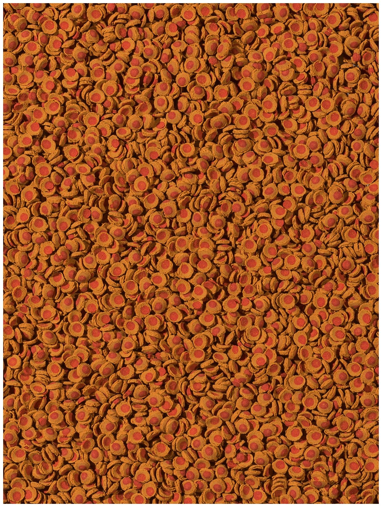 TetraCory Shrimp Wafers корм-пластинки с добавлением креветок для сомиков-коридорасов 100 мл - фотография № 8