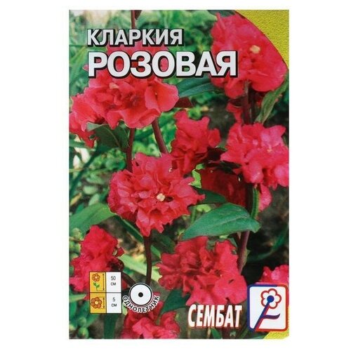 Семена цветов Кларкия Розовая, 0,2г 20 упаковок семена цветы кларкия наша радость