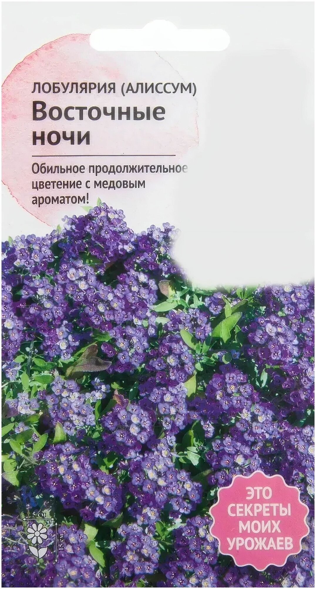 Семена Алиссум "Восточные ночи" 0.1 г медонос, весенняя высадка, фиолетово-пурпурного цвета декорирует вашу клумбу и бордюры густыми веточками и соцветиями до 5 см шириной в виде кистей до поздней осени.