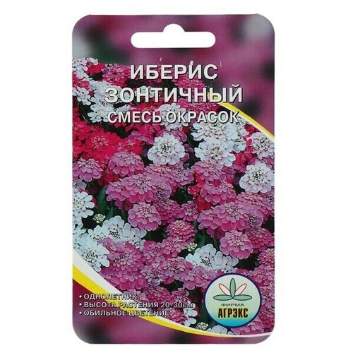 Семена цветов Иберис Зонтичный, Cмесь окрасок, 0,2 г 12 упаковок