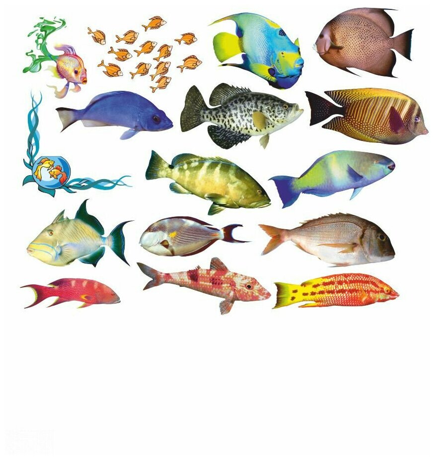Наклейка интерьерная с сильным клеевым слоем "Океанические рыбки"