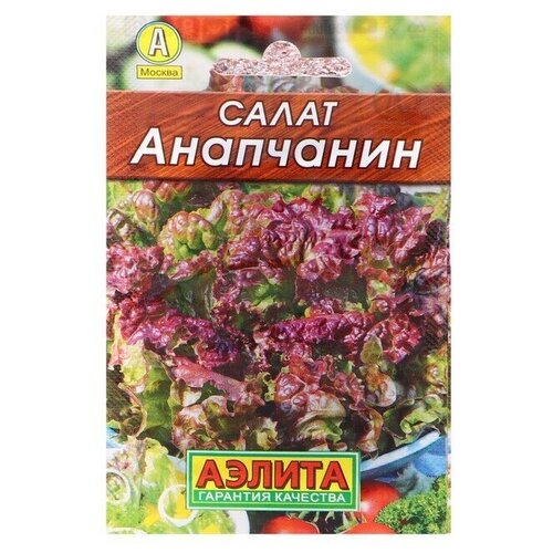 Семена Салат Анапчанин полукочанный Лидер, 0,5 г , 20 упаковок семена салат анапчанин полукочанный лидер 0 5 г 6 шт