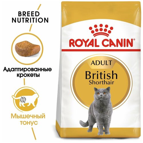Корм сухой ROYAL CANIN полнорационный сбалансированный для взрослых британских короткошерстных кошек старше 12 месяцев 4 кг х 5 шт