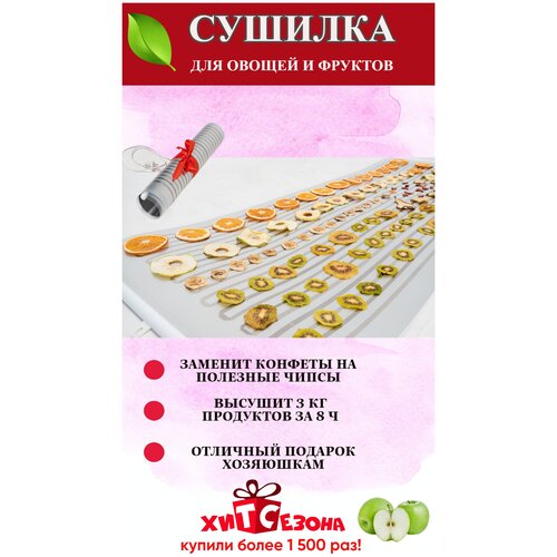 Сушилка для овощей фруктов ягод трав грибов мяса и рыбы Инфракрасная сушилка для фруктов и овощей Дегидратор 255000₽