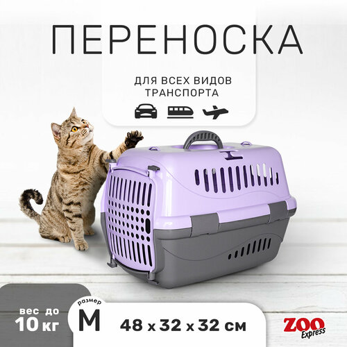 Переноска ZOOexpress Турне для кошек и собак мелких пород, цветная пластиковая дверца, 48х32х32 см (M), фиолетовый