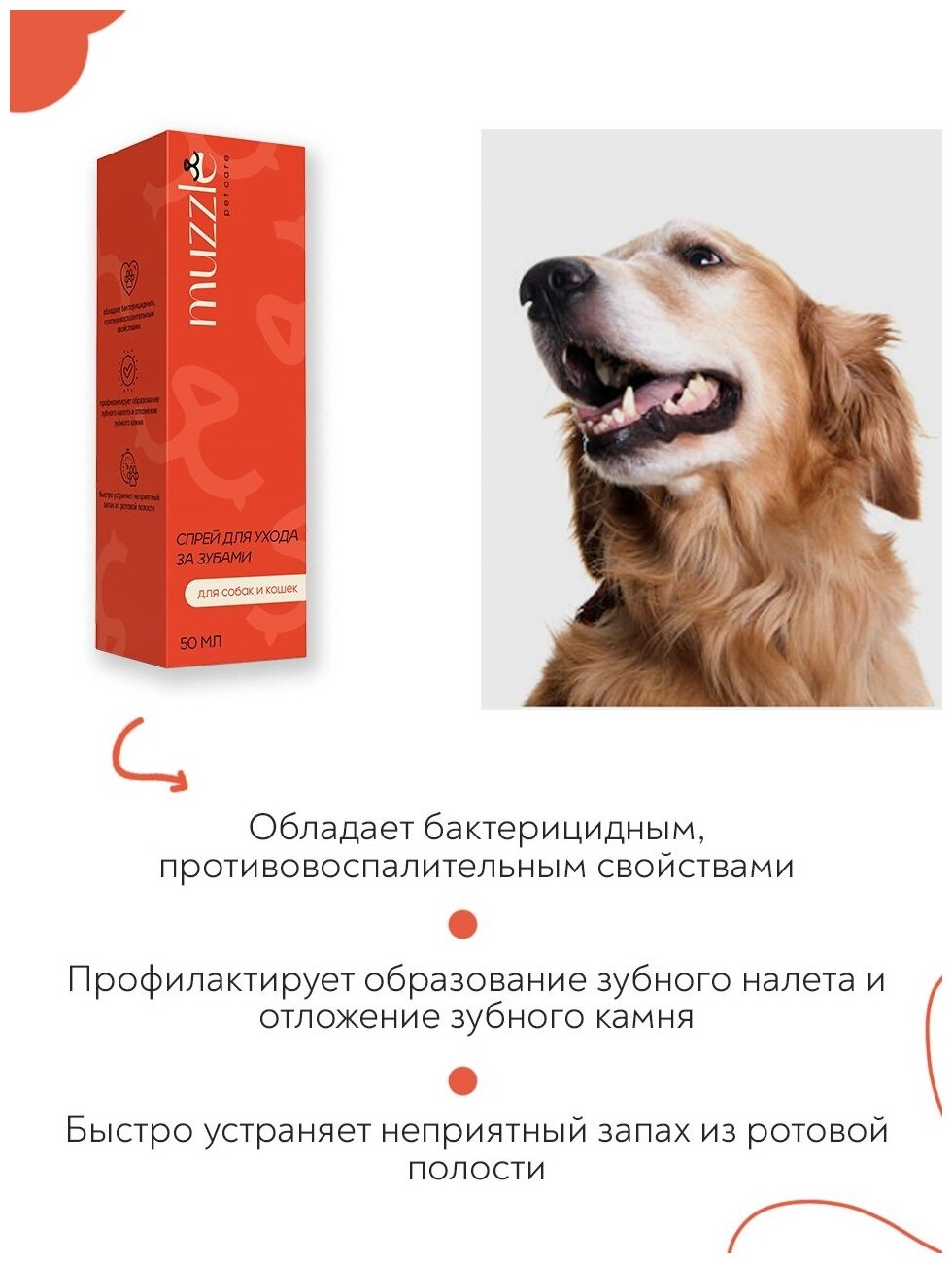 Спрей зоогигиенический Muzzle для ухода за полостью рта собак и кошек, против неприятного запаха и воспалений при заболеваниях ротовой полости, 50 мл
