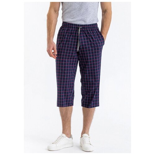 фото Шорты pantelemone ph-107, размер 48, клетка синяя (синий)