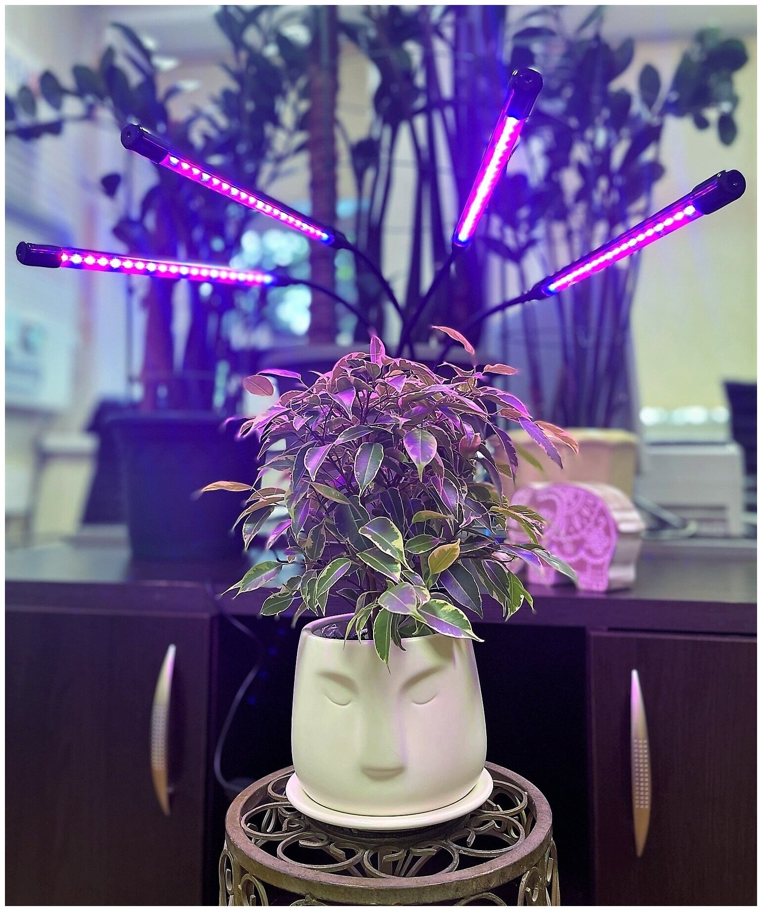 Фитолампа для растений, 80 диодов LED светильник для рассады, светодиодный фитосветильник, полный спектр, черный - фотография № 6