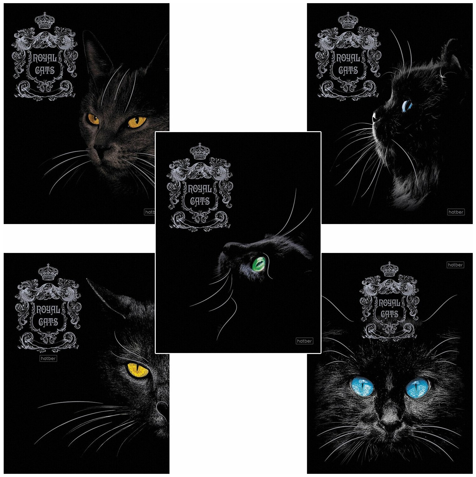фото HATBER Тетрадь А5, 48 л, HATBER, скоба, клетка, матовая ламинация, 3D, "RoyalCats" (5 видов в спайке), 48Т5лофл