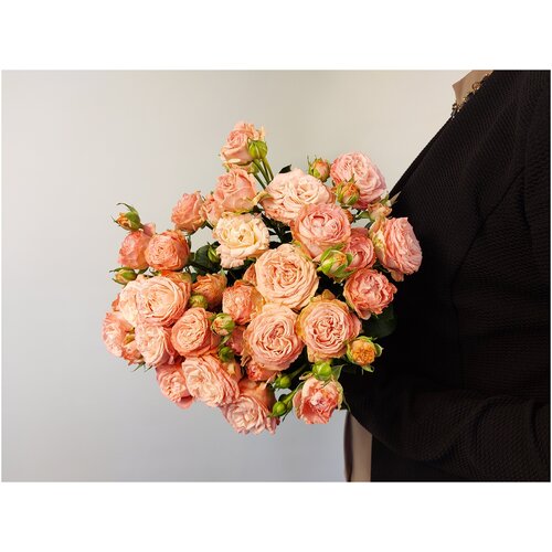 Роза кустовая нежно-розовая 60СМ 9шт