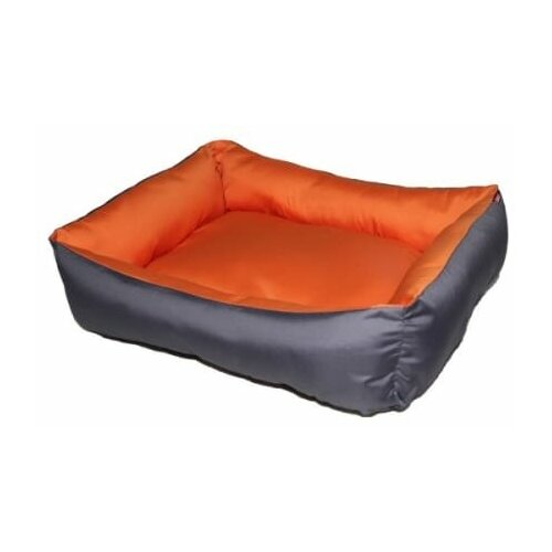 Ладиоли М-108 