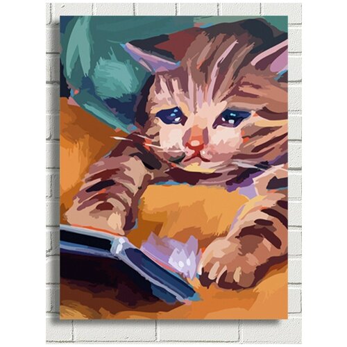 картина по номерам кот в лопапейса 30x40 см Картина по номерам грустный уставший кот - 8213 В 30x40