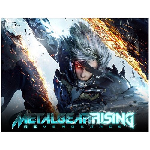 Metal Gear Rising: Revengeance мешок для сменной обуви с принтом с принтом metal gear rising revengeance 34328