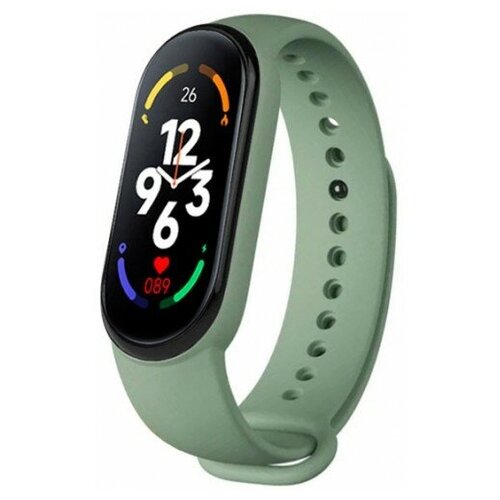 BandRate Smart BRSM777BGN 204000₽