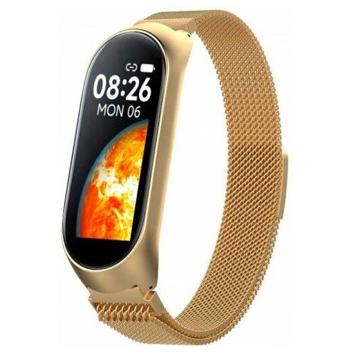 BandRate Smart BRSM77BGWB 238000₽