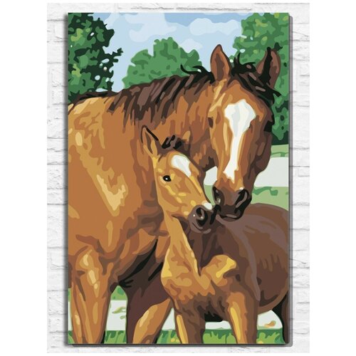 Картина по номерам на холсте лошадь с жеребёнком (пони, лошадка) - 9373 В 60x40