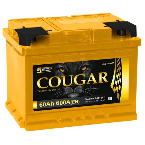 Аккумулятор COUGAR PRO 60 Ач 600А прямая полярность