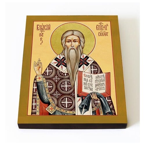 Священномученик Власий Севастийский, икона на доске 8*10 см священномученик власий севастийский печать на доске 13 16 5 см