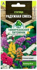 Семена цветов Статица "Радужная смесь", О, 0,1 г