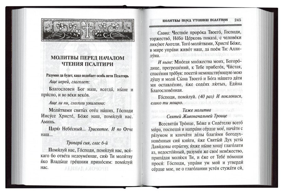 Молитвослов и Псалтирь. Русский шрифт - фото №6