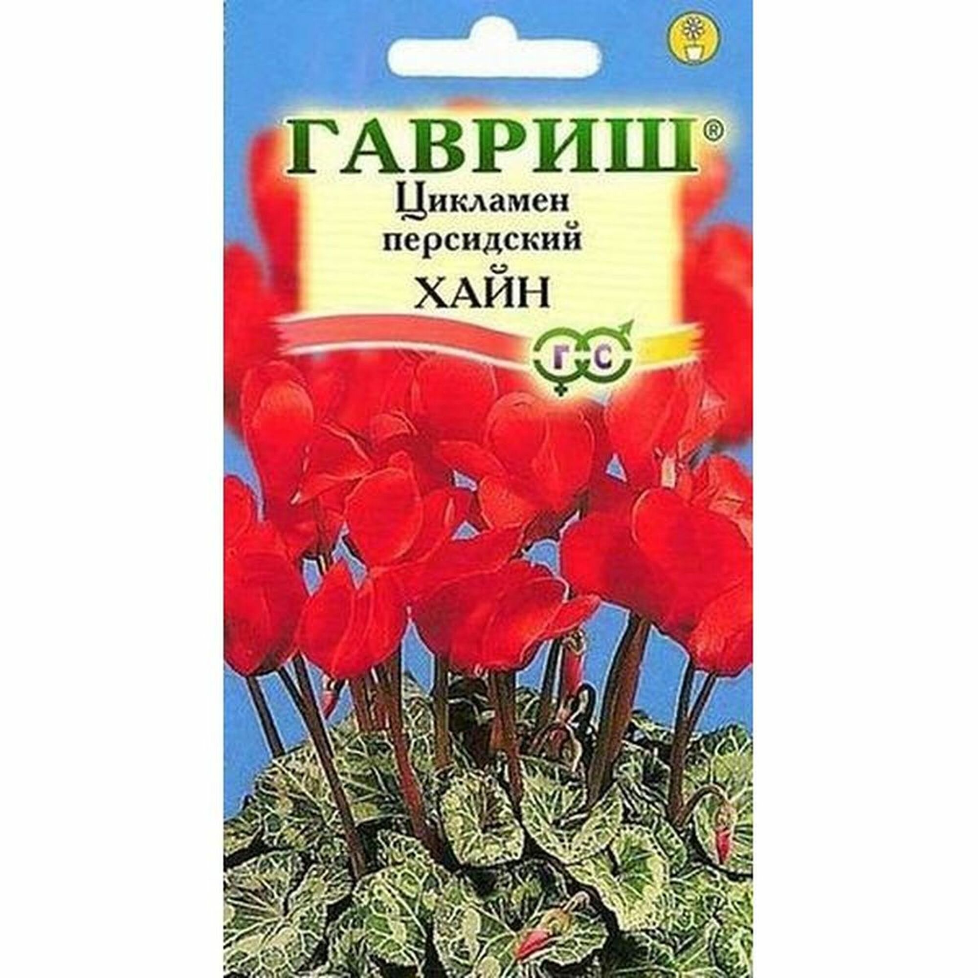 Семена Цикламен Хайн многолетние комнатные Гавриш 1 пачка - 3 семя