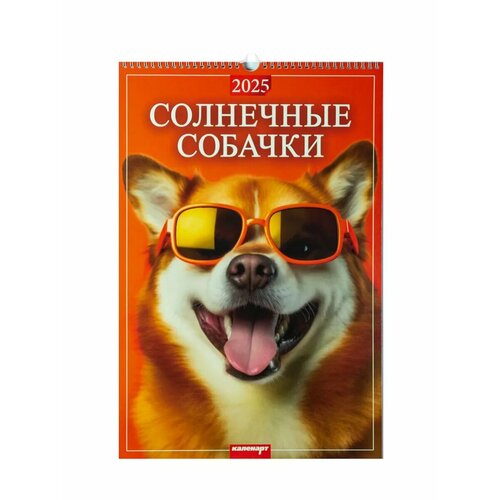 Календарь настенный перекидной 2025 Солнечные собачки