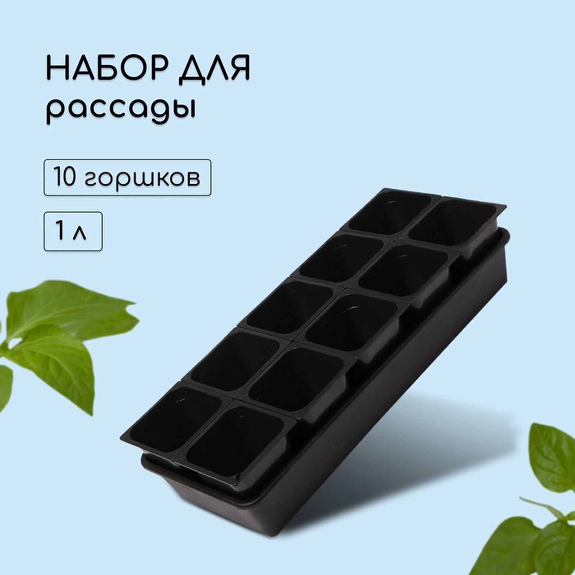 Набор для рассады: стаканы по 1 л (10 шт.) поддон 61 × 23 см чёрный
