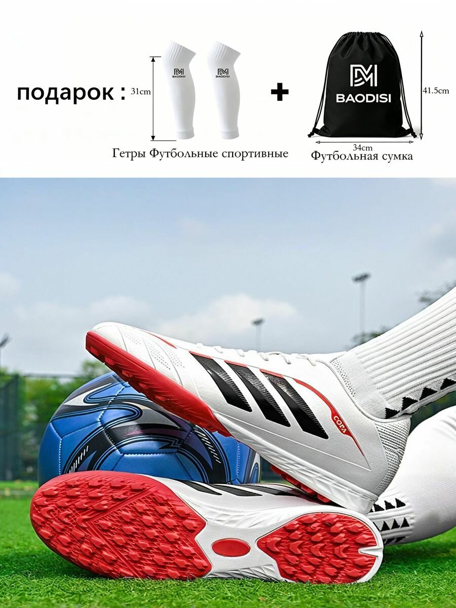 Сороконожки