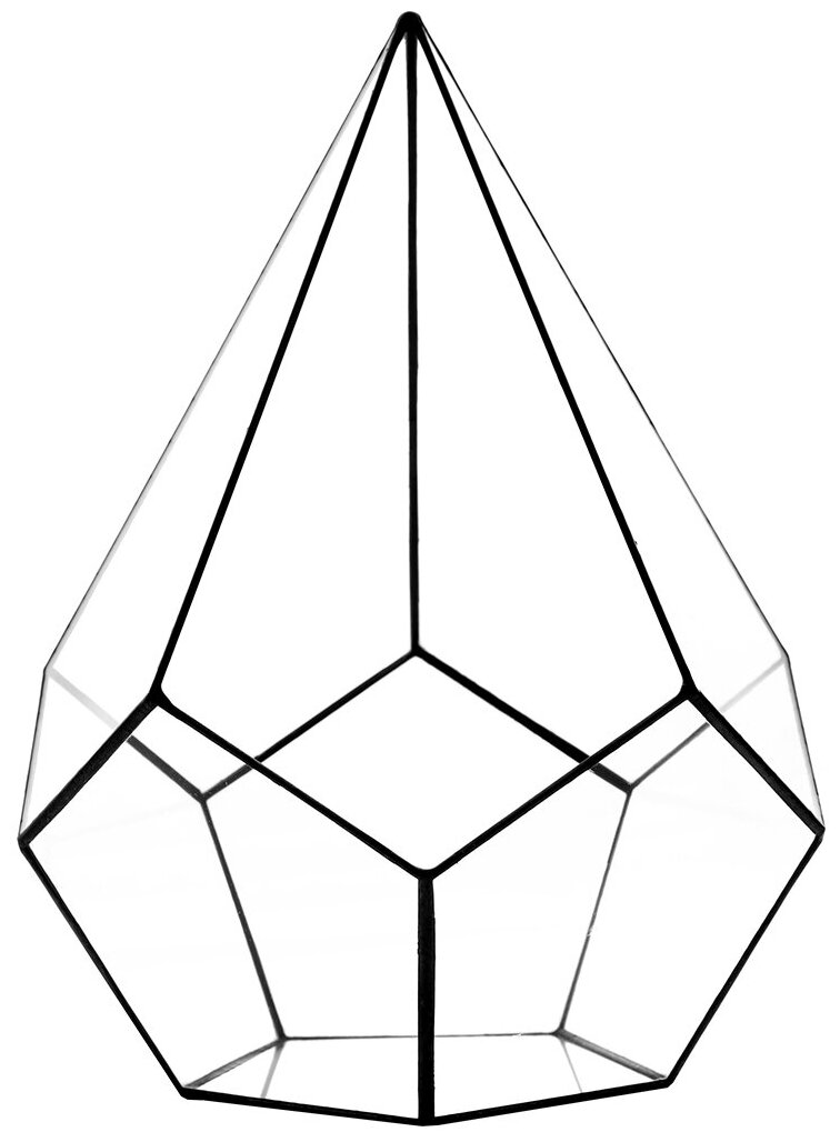 Флорариум 1038/1 — фото 1