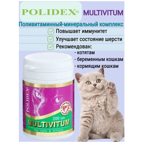 Витамины для кошек и котят Полидекс Мультивитум для иммунитета 200 таблеток супер вул плюс polidex витамины для шерсти таблетки для кошек 200шт