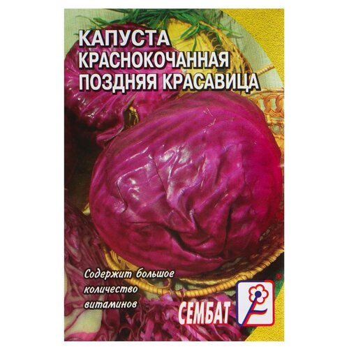 Семена Капуста краснокочанная Поздняя красавица, 0,5г