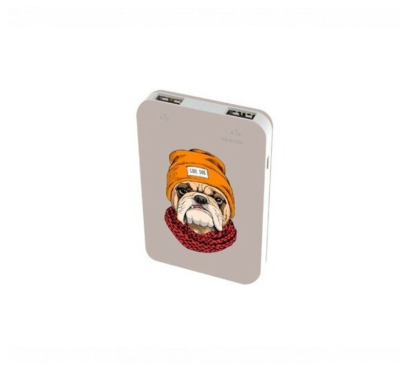 882144 Внешний аккумулятор Ritmix Power Bank RPB-10007 10000mAh Bulldog