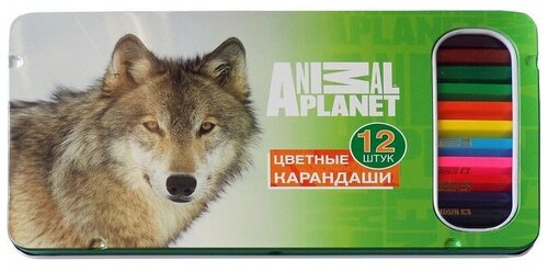 Карандаши 12цв ACTION! Animal Planet (метал. уп.)