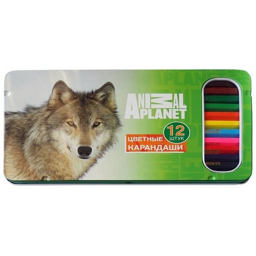 Карандаши 12цв ACTION! Animal Planet (метал. уп.) школьная сумка action animal planet ap ab14004 2 черный желтый