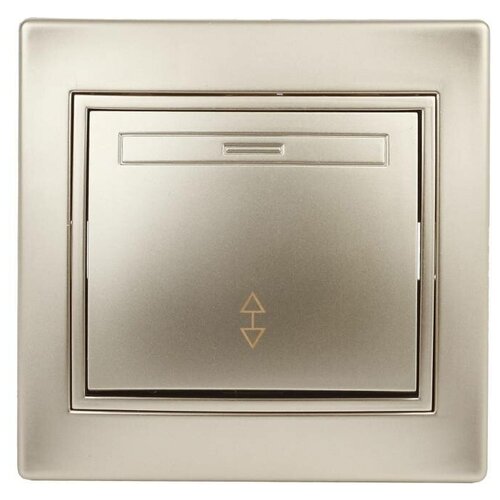 1-103-04 Intro Переключатель, 10А-250В, IP20, СУ, Plano, шампань, 1шт