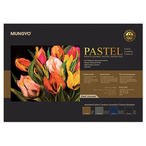 Склейка для пастели Mungyo 160гм2 А4 30л 3цв x 6л черная 12л 3482₽