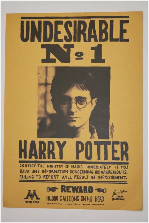 Плакат Розыск Гарри Поттера, постер, для интерьера, в подарок, для детей, квест