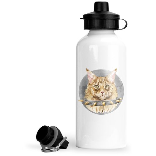 Спортивная бутылка Кошки Мейн-кун в ошейнике с шипами спортивная бутылка кошки мейн кун королева
