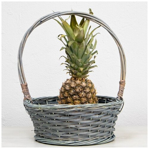 Корзина плетёная «Д35 серая»