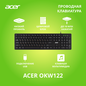 Клавиатура Acer OKW122 черный USB (ZL. KBDEE.00C)