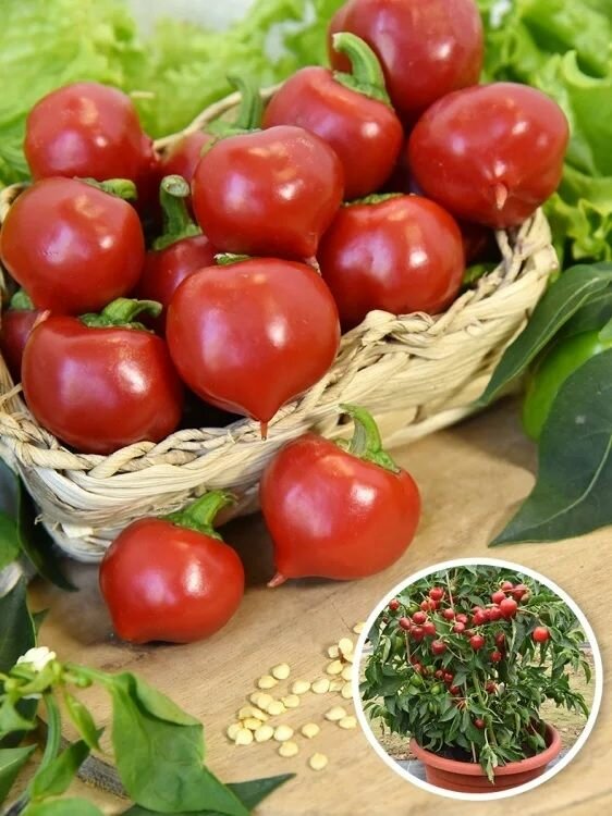 Перец сладкий F1 Трюфелек красный семена