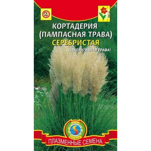 Кортадерия (пампасная трава) Серебристая, 0.01 г пампасная трава кортадерия пумила