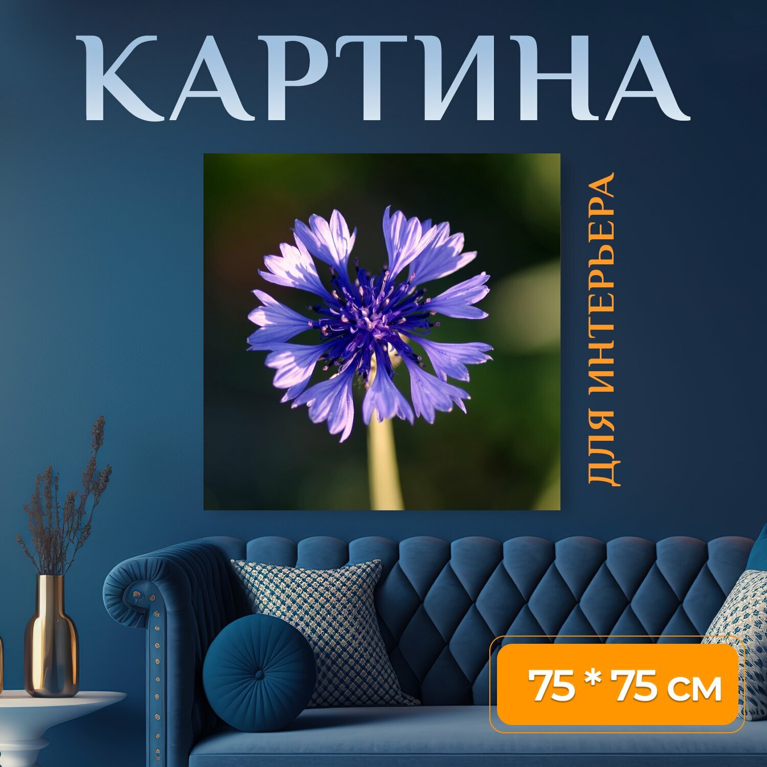 Картина на холсте "Васильковый, синяя бутылка, синий" на подрамнике 75х75 см. для интерьера